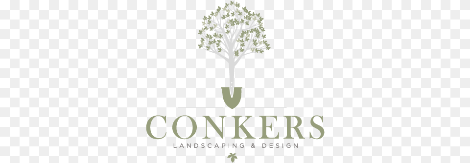 Conkers Landscape Amp Design Ltd Landscape Design, Plant, Tree, Vegetation, Potted Plant Free Png Download