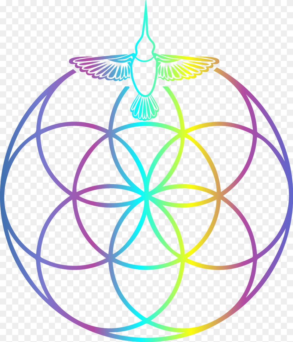 Connect The Psychedelic Integration Coach, Animal, Bird, Pattern, Light Png