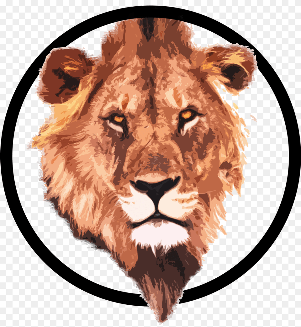 Connect U2014 Matt Gagnon Cpcc Pcc Lion In A Circle, Animal, Mammal, Wildlife, Person Free Png Download