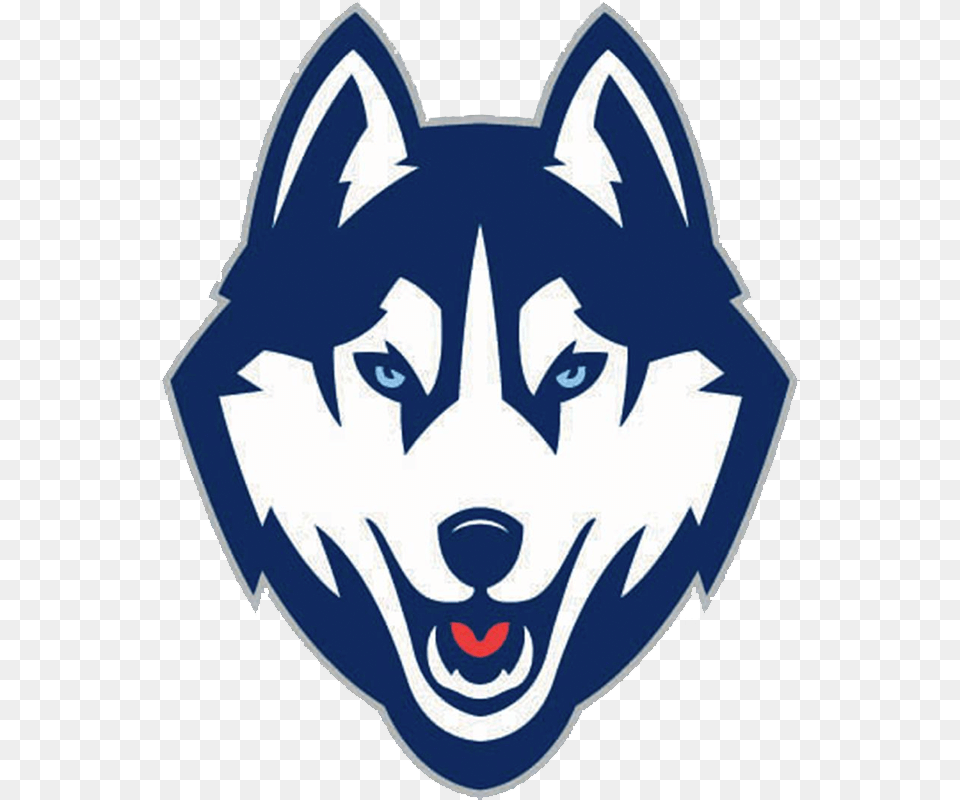 Connecticut Huskies, Animal, Mammal, Husky, Pet Free Png Download