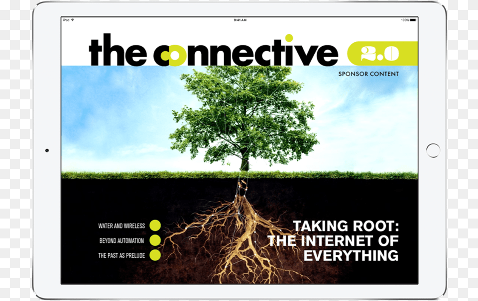 Connectivecover, Plant, Root, Tree, Soil Free Png Download