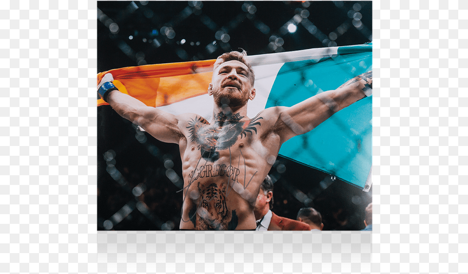 Conor Mcgregor Irish Flag, Back, Body Part, Person, Skin Png