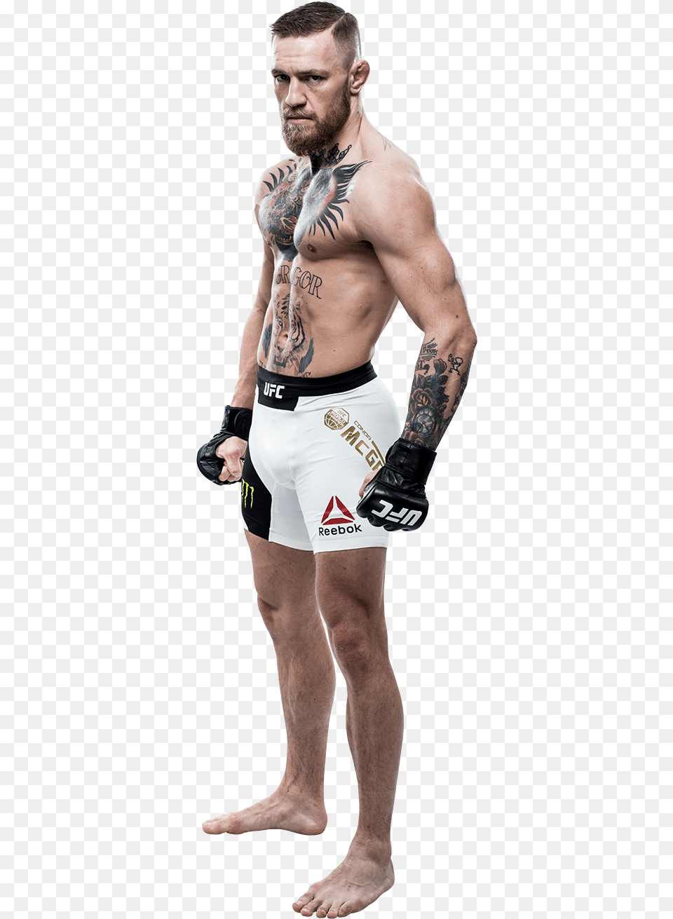 Conor The Notorious Conor Mcgregor Full Body, Person, Skin, Tattoo, Adult Png
