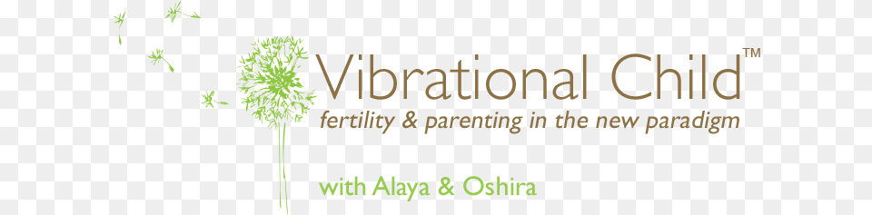 Conscious Conception Pregnancy Birth And Beyond Fertilisation, Green, Plant, Vegetation, Grass Png Image