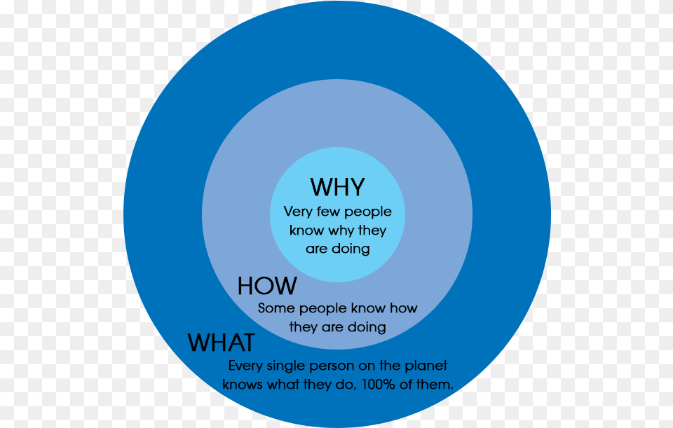 Conseils De Marketing Why Is The Part Of Business Circle, Disk Free Png