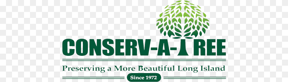 Conserv Atree Tree Services Huntington Station Ny Pom Pom Christmas Tree Craft, Green, Plant, Food, Fruit Png