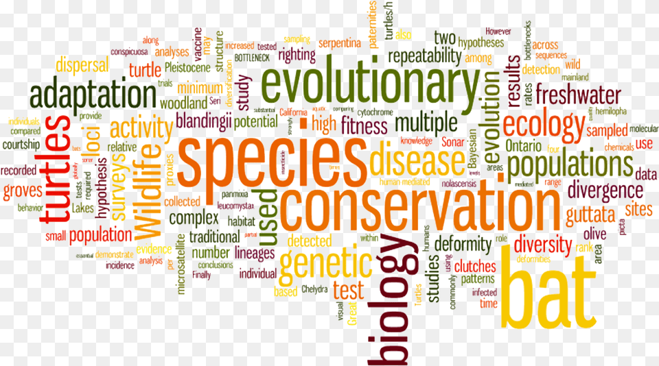 Conservation Biology Molecular Ecology And Population Nuage De Mot Accident De Travail, Scoreboard Free Png Download