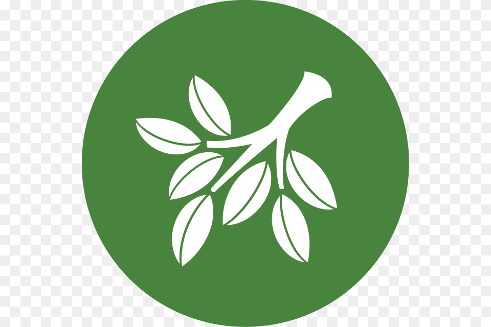 Conservation Csp Emblem, Herbal, Herbs, Leaf, Plant Png Image