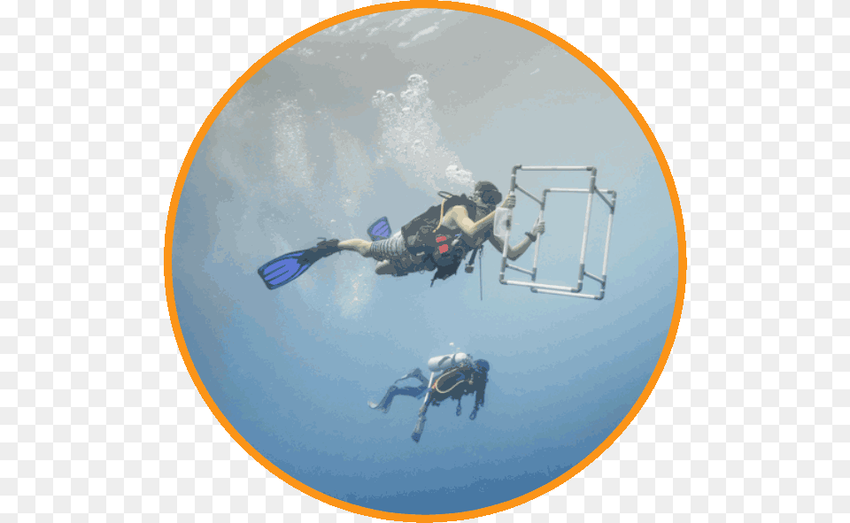 Conservation Dive Master Program Scuba Diving, Adventure, Water, Sport, Scuba Diving Png