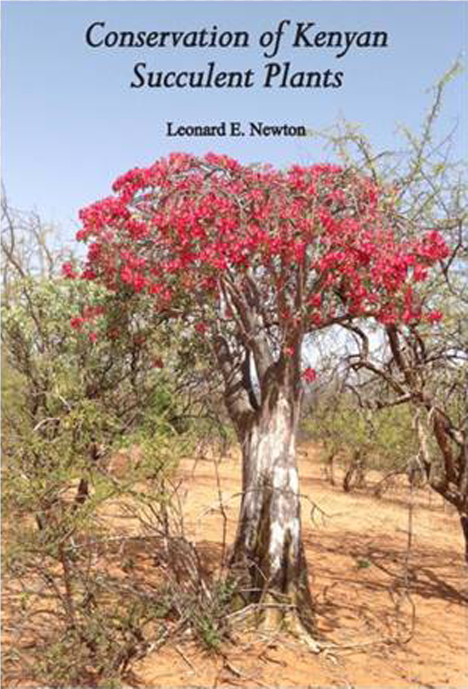Conservation Of Kenyan Succulent Plants Swamp Maple, Field, Wilderness, Vegetation, Tree Png Image