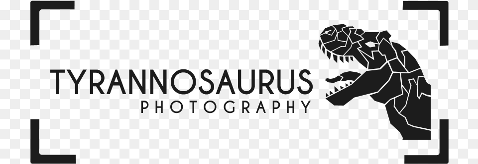 Conservative Bold Camera Logo Design For A Company Illustration, Baby, Person, Animal, Dinosaur Free Png Download