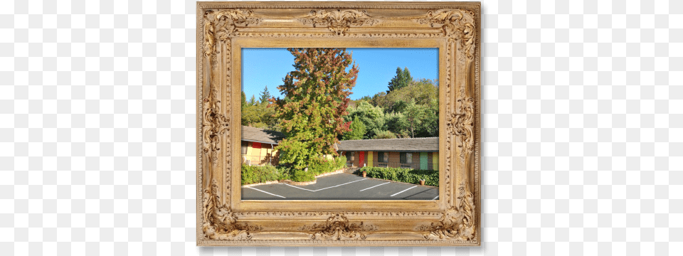 Consider Us A Best Choice For Comfort And Value During Humboldt Redwoods Inn, Plant, Tree, Photography, Road Free Transparent Png