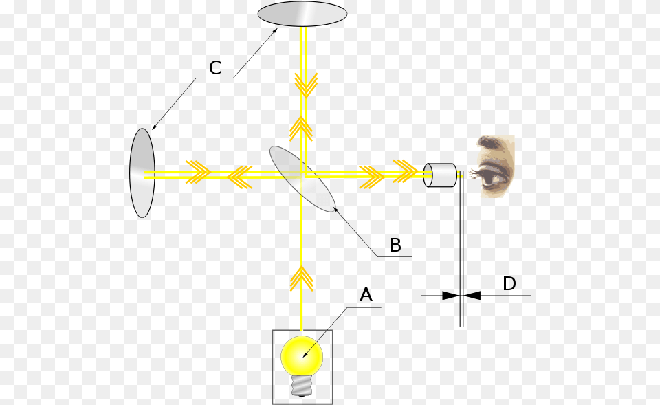 Considerado Como La Primera Prueba Contra La Teora, Lighting, Lamp, Adult, Male Free Transparent Png