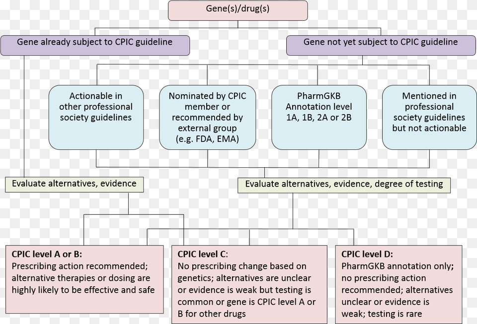 Considerations For Assignment Of Cpic Level For Genesdrugs Level Of Prioritization, Text, Diagram, Uml Diagram Free Transparent Png