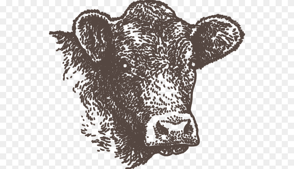 Consign Livestock Illustration, Animal, Bull, Mammal, Cattle Png Image