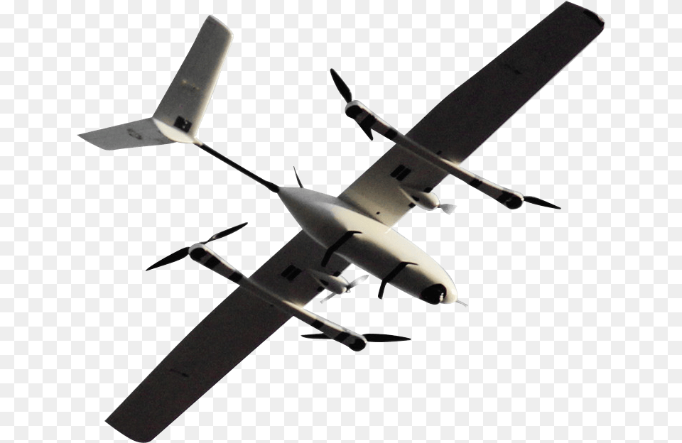 Consolidated Pby Catalina, Animal, Bird, Flying, Ceiling Fan Png Image