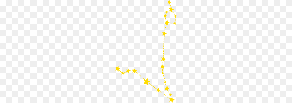 Constellation Ursa Major Astronomy Uranias Mirror Big Dipper Flower, Plant, Accessories Free Transparent Png