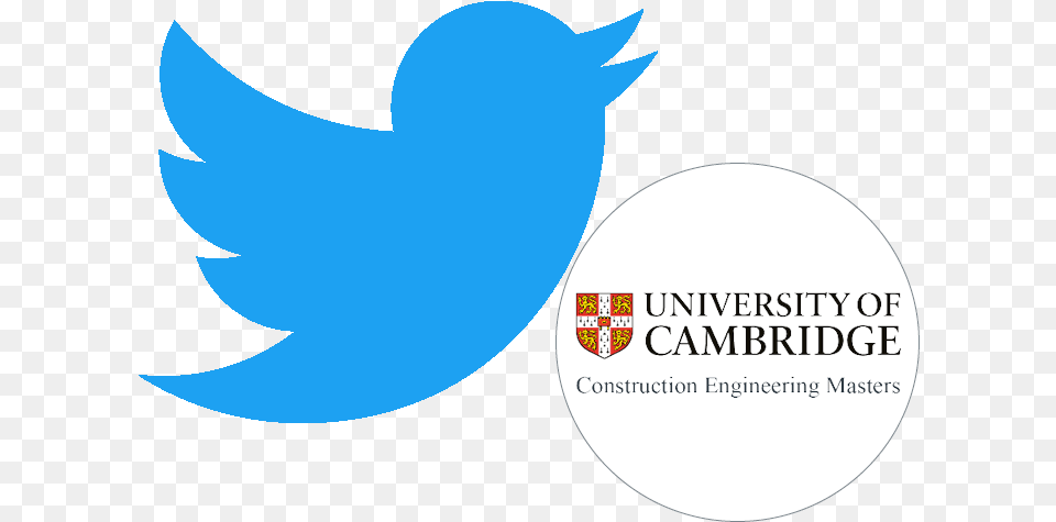 Construction Engineering Masters Black Twitter Logo Background, Animal, Fish, Sea Life, Shark Free Transparent Png