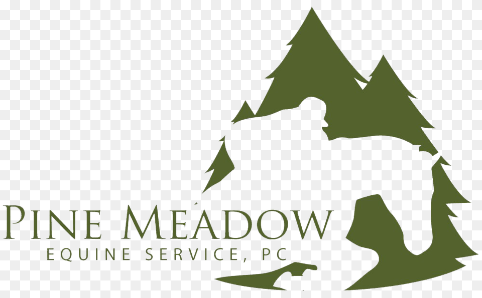 Contact A Equine Veterinarian In Yorktown Va Pine Meadow Equine, Stencil, Animal, Fish, Sea Life Png Image