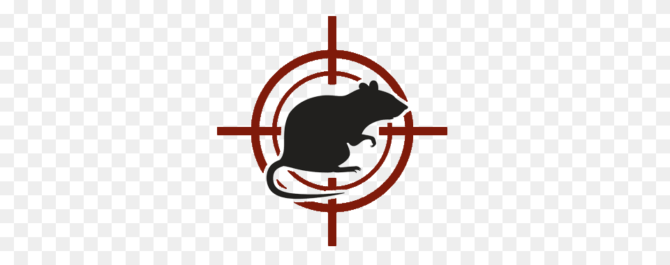 Contact Company, Animal, Mammal, Rodent, Rat Png Image
