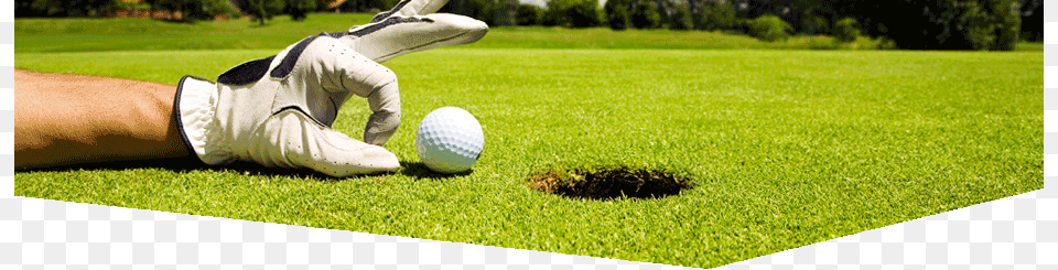 Contact Form Twitter Backgrounds Golf, Grass, Plant, Lawn, Person Free Png Download
