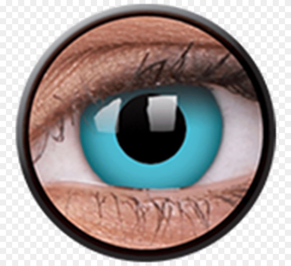 Contact Lenses, Contact Lens, Disk Free Png Download