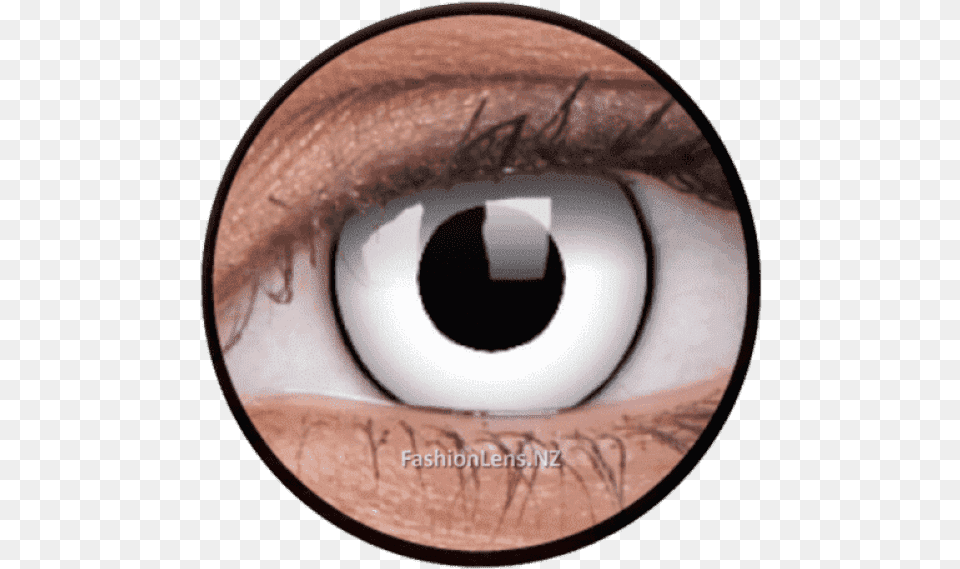 Contact Lenses Clipart Download Contact Lenses, Contact Lens, Disk Png Image