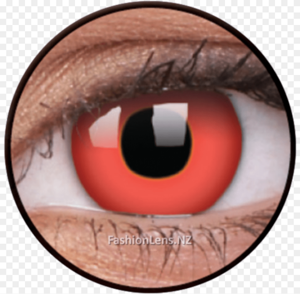 Contact Lenses Download Contact Lenses, Contact Lens, Disk, Tape Png Image