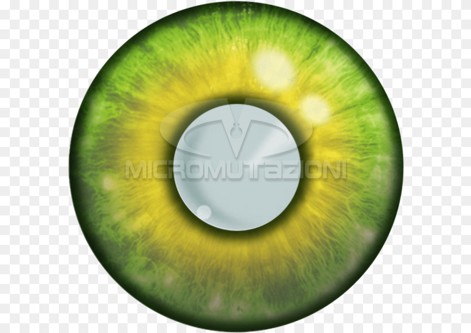Contact Lenses For Fairytale, Green, Ornament, Jewelry, Jade Png Image