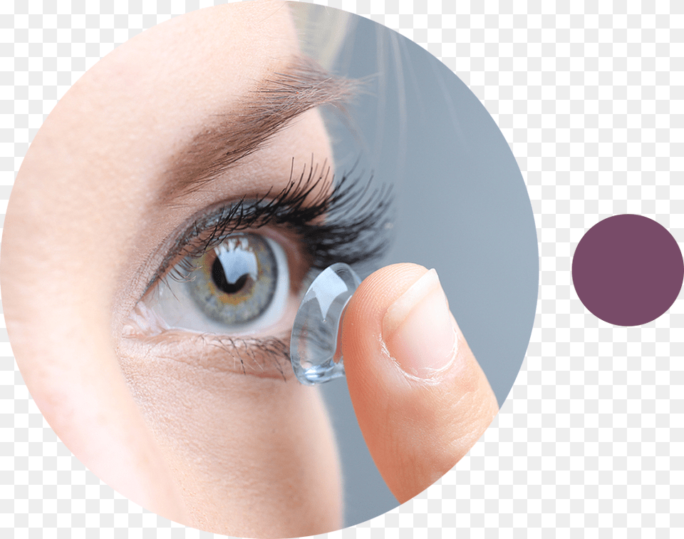 Contact Lenses Hydrogel Contact Lenses, Contact Lens, Adult, Female, Person Png