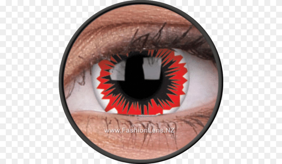 Contact Lenses Ultra Violet, Contact Lens, Disk Free Png