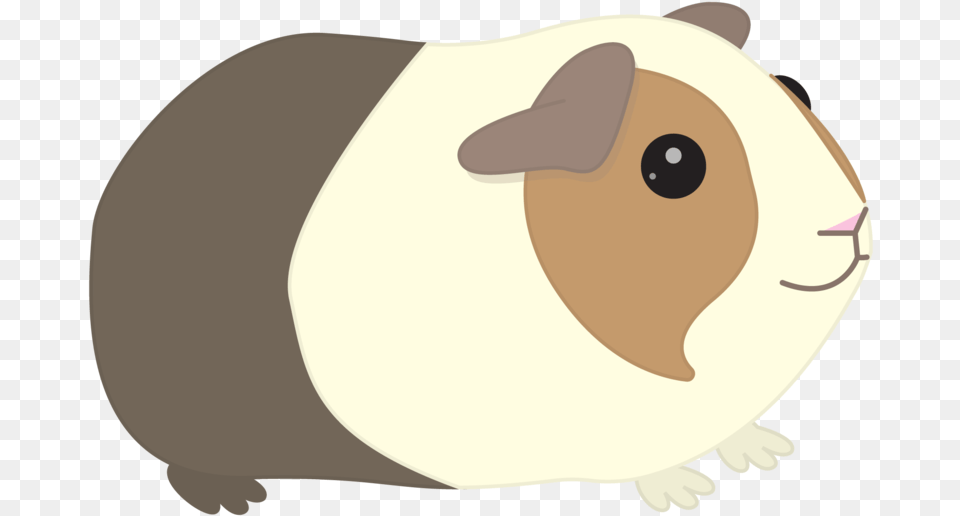 Contact Me Guinea Pig Clipart, Animal, Mammal, Rodent Png
