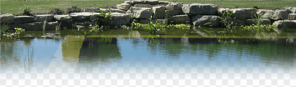 Contact Reflection, Nature, Outdoors, Pond, Water Png