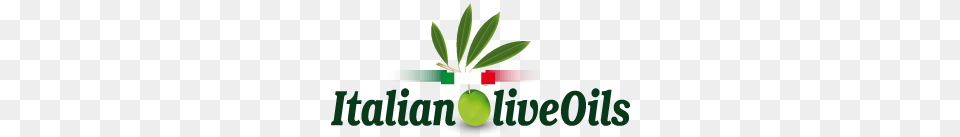 Contact The Most Important Italian Olive Oil Producers, Leaf, Plant, Food, Fruit Free Png Download