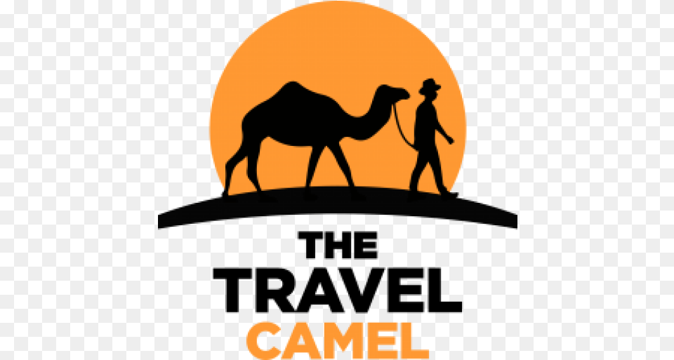 Contact Travel Camel, Animal, Mammal, Adult, Male Free Transparent Png