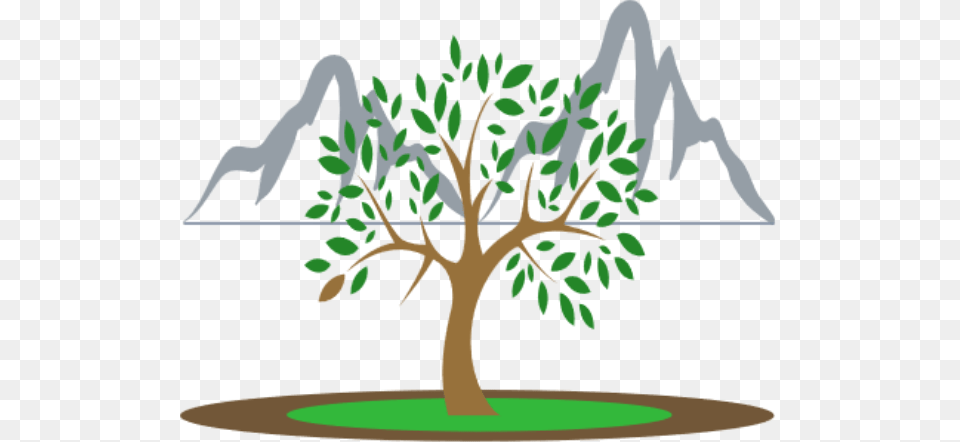 Contact Twin Peaks Genealogy, Plant, Potted Plant, Tree, Vegetation Free Png