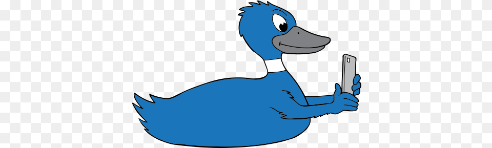 Contact U2014 Blue Duck Media Blue Duck, Person, Animal, Bird, Electronics Free Png