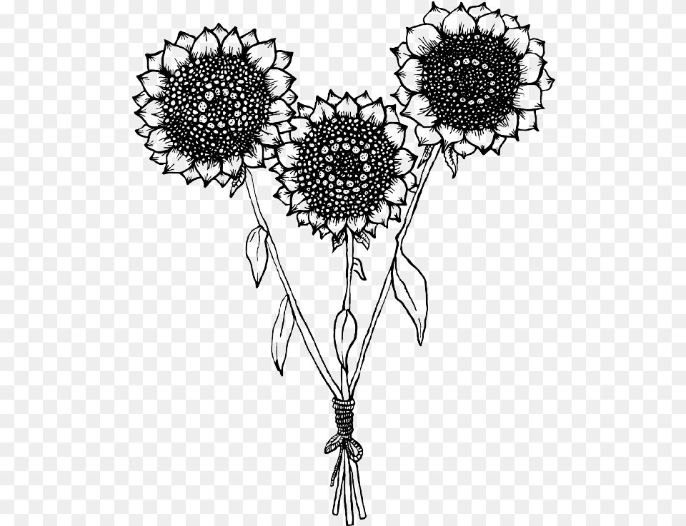 Contact U2014 Sunflower Hill Farm Sunflower B And W, Chandelier, Lamp Free Png