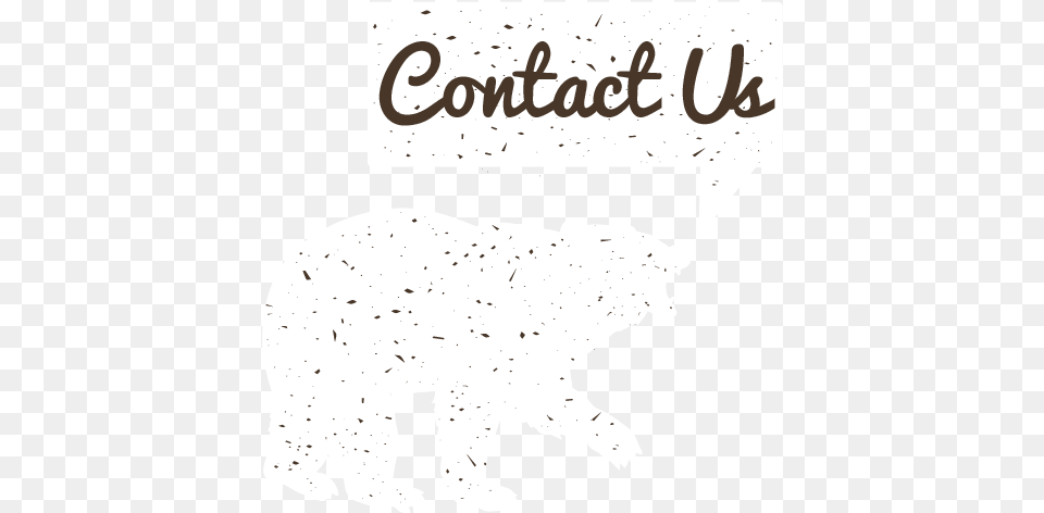 Contact Us Bear, Animal, Mammal, Wildlife, Silhouette Free Png Download