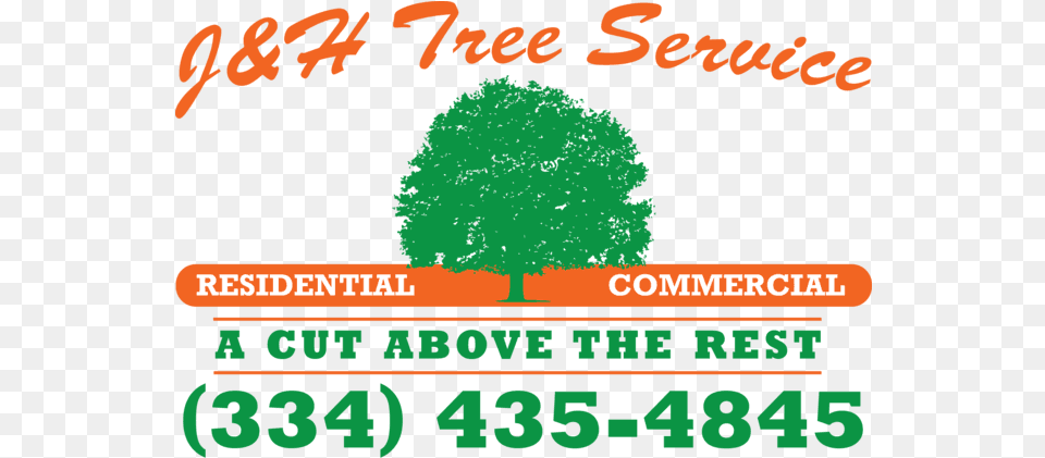 Contact Us Beltservice Corporation, Advertisement, Plant, Poster, Tree Free Png Download