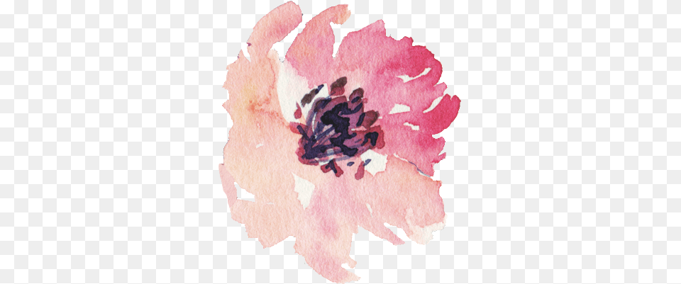 Contact Us Girly Watercolor Rosarote Mit Blumenrosen Zazzle Iphone, Plant, Petal, Food, Flower Free Transparent Png