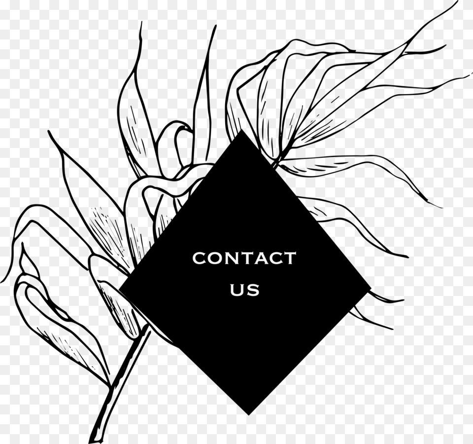 Contact Us Illustration, Text Free Png Download