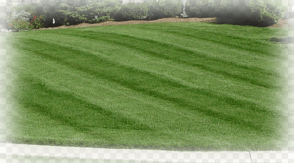 Contact Us Lawn, Grass, Plant, Vegetation, Backyard Free Png Download