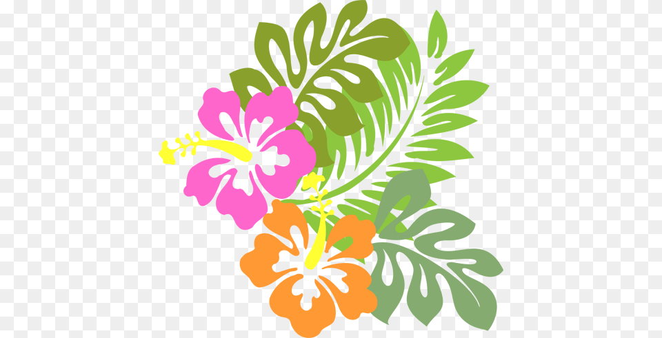 Contact Us On Siesta Key, Art, Graphics, Floral Design, Pattern Free Png