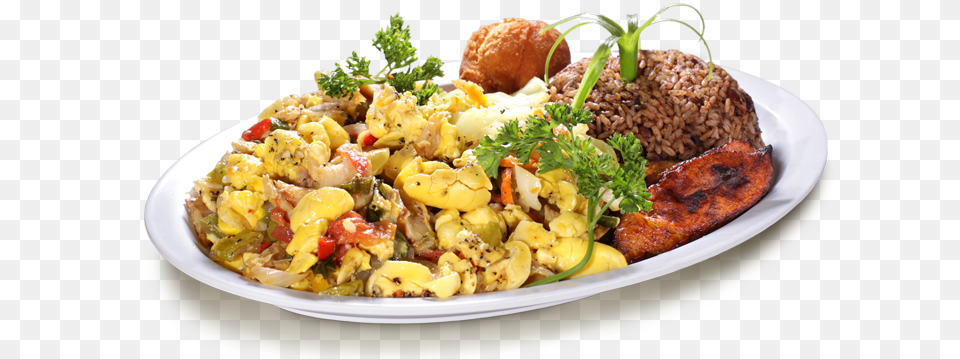Contact Us Plate Of Jamaican Food, Dish, Food Presentation, Lunch, Meal Free Png Download