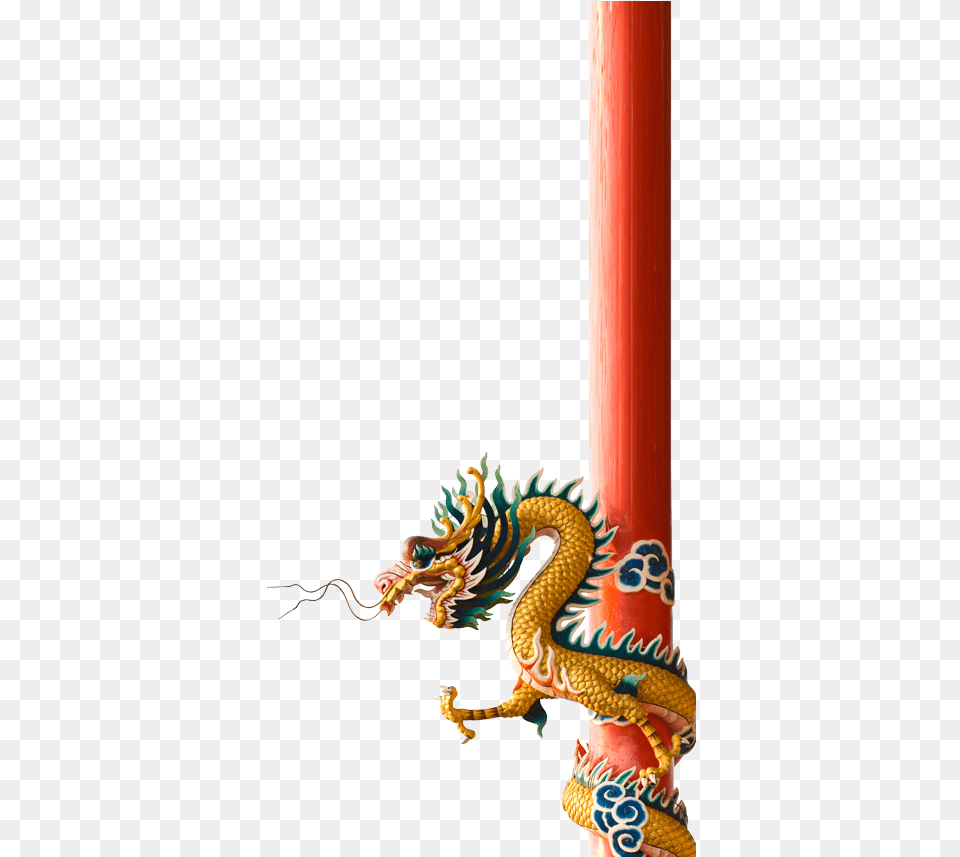 Contact Us To Discuss An Option That Works Best For Chinese Dragon White Background, Animal, Reptile, Snake Png