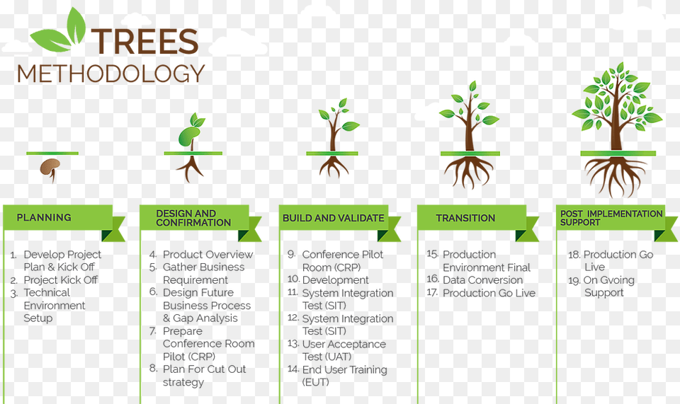 Contact Us Tree Tree, Plant, Potted Plant, Vegetation, Root Free Transparent Png