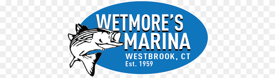 Contact Wetmores Marina Westbrook, Animal, Sea Life, Fish Png Image