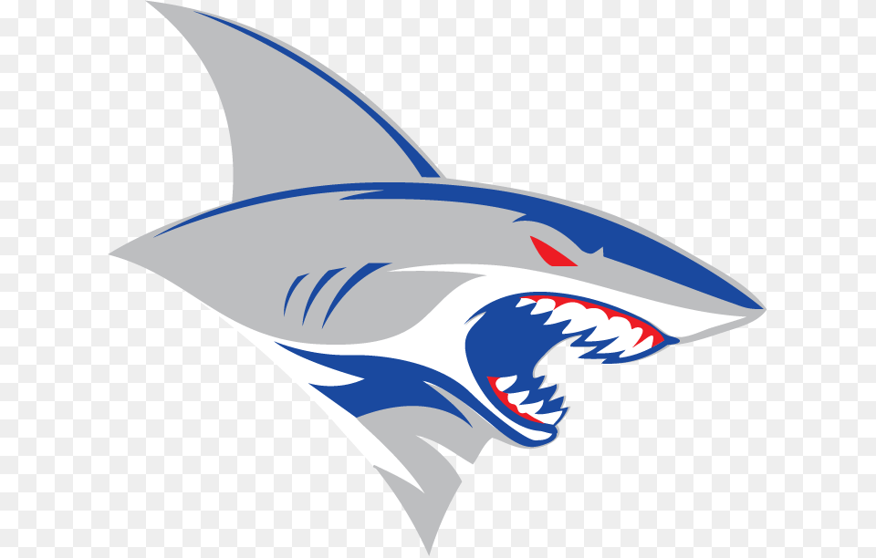 Contacts Jersey Sharks, Animal, Fish, Sea Life, Shark Png Image