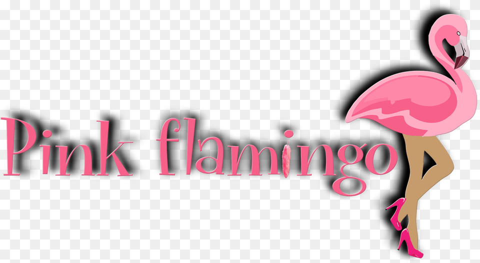 Contacts Logo Pink Girly, Animal, Bird, Flamingo, Adult Png Image